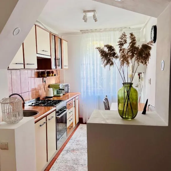 Central Apartment, hotel in Turnu Măgurele