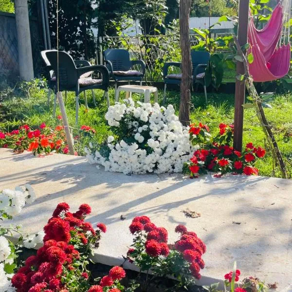 GreenZen reset space，位于Zagorič的酒店