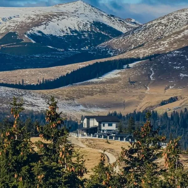 Alpine Blu - Horezu - Varful lui Roman - Sauna, Hot Tub & Gym, hotel v destinaci Horezu