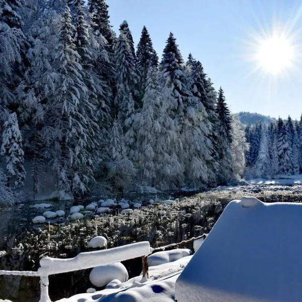 Plitvice Waterfall Millhouse Challet Stipanov Mlin, hotel in Plitvička Jezera