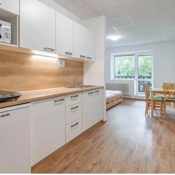 Byt v Železné Rudě u sjezdovky s vlastním parkováním, hotel in Železná Ruda