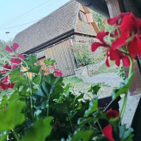 Casa Bunicului, hotel en Poplaca