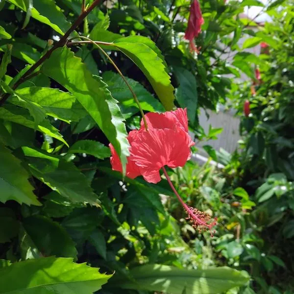 KAN'DLO, ξενοδοχείο σε Le Morne Rouge