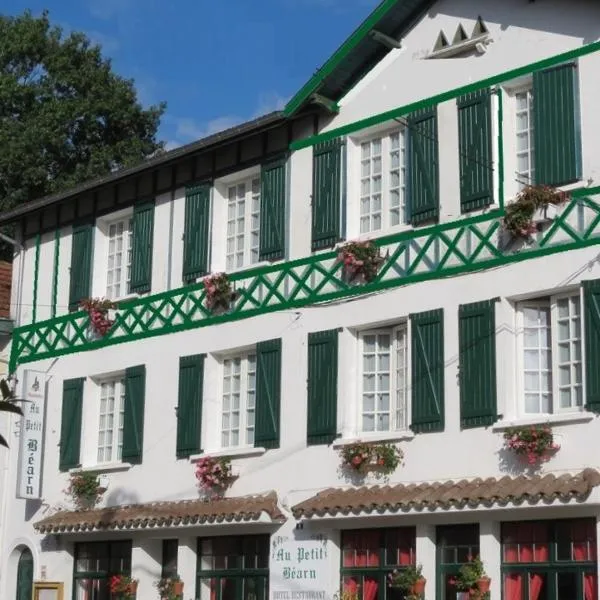Hotel Au Petit Béarn, hotel in Salies-de-Béarn