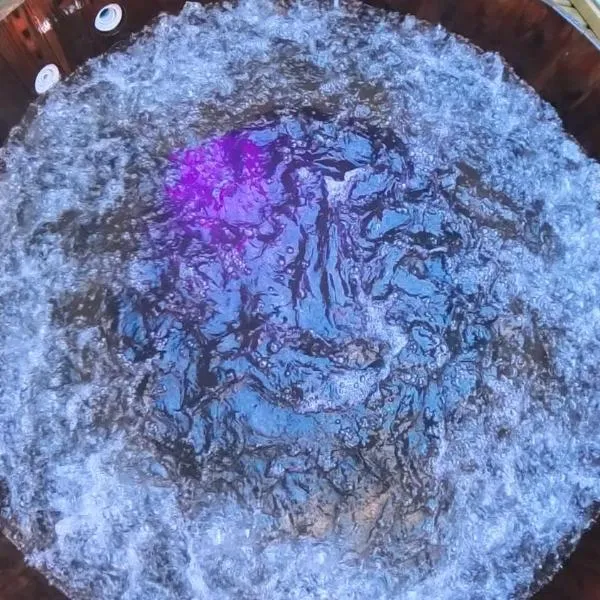 Cabañas Pewma Futrono, хотел в Футроно