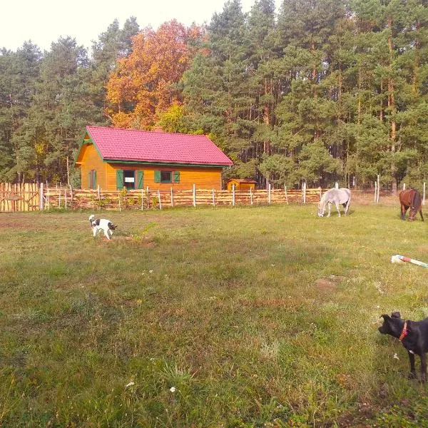 Agroturystyka Polana Harmonii, hotell sihtkohas Przytoczna 