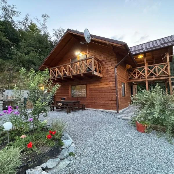 Cabana Luna, hotel em Valea Ierii