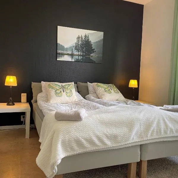 Hammarö Vandrarhem, hotel in Hammarö