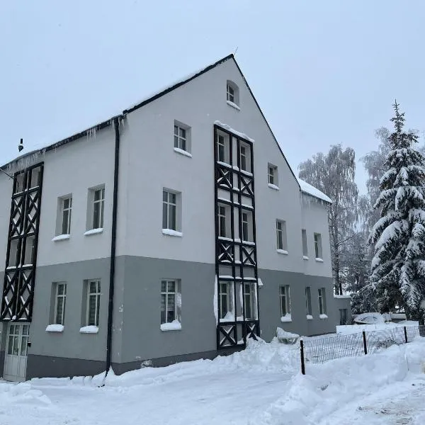 Apartmán Za Humny - krása Krušných hor, Hotel in Horní Blatná