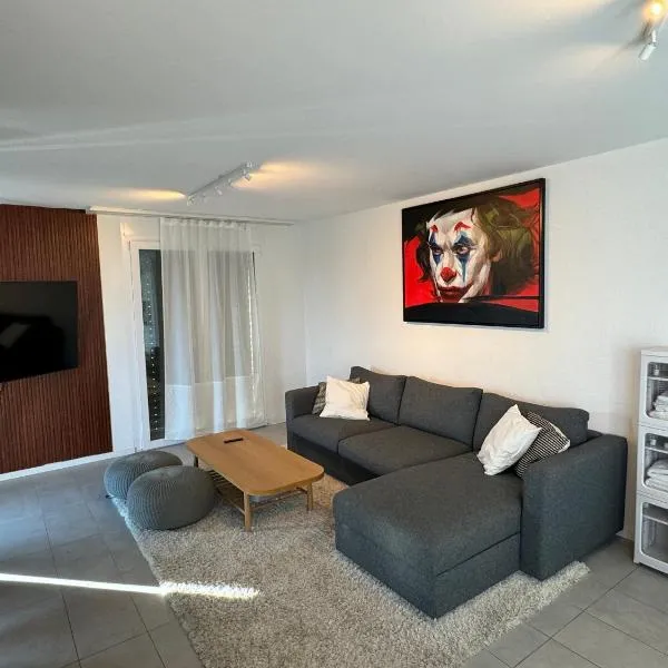 Great apartment in Lausanne、ローザンヌのホテル
