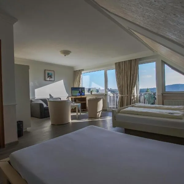 Hotel Schneider, hotel en Winterberg