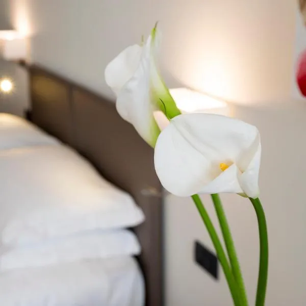 Hotel Plaza, ξενοδοχείο σε San Martino Siccomario