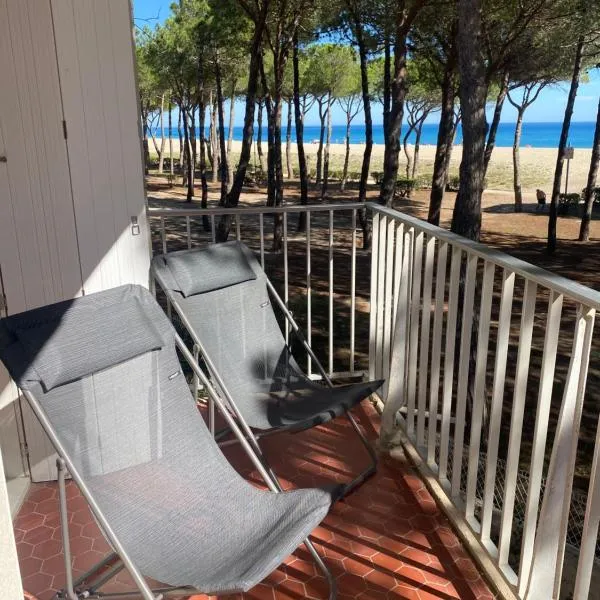 Superbe T2 grand balcon vue mer, hotel in Argelès-sur-Mer