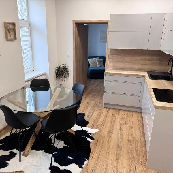 Sušilova 14 apartments I, hotel in Přerov