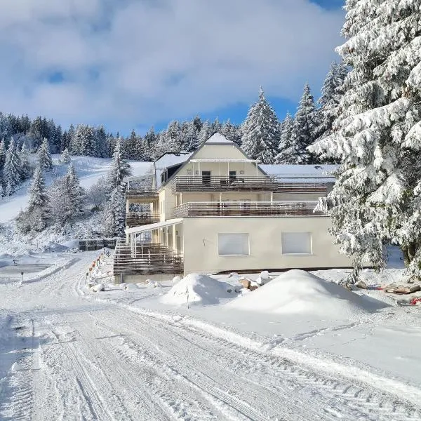 bel appartement 3 pièces dans la Résidence Vosges-Alsace Orbey, hotel en Orbey