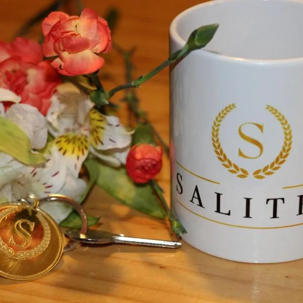 SALITRE SPA, ξενοδοχείο σε Pozo Almonte