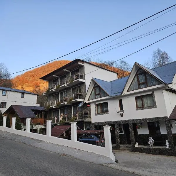 Casa Albiony Dâmbovicioara，位于迪姆波维奇瓦拉的酒店