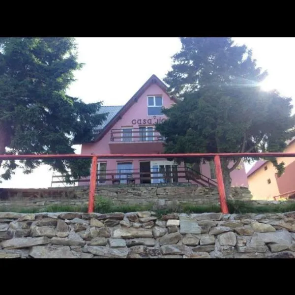 Casa Jianu, hotel en Ranca