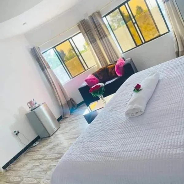 Andromeda lodge, hotel in Ndola