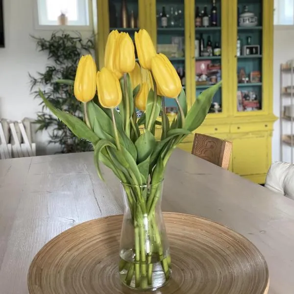 Casa Acougo, Sarria, Hotel in Sarria