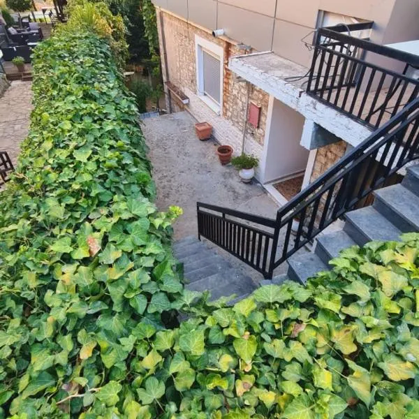 Το σπίτι της γιαγιάς, hotel in Paramythia