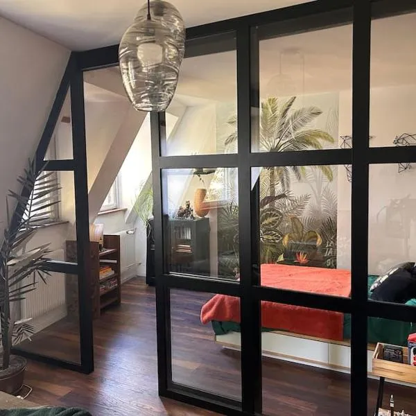 Appartement carré or Strasbourg, hotel in Strasbourg