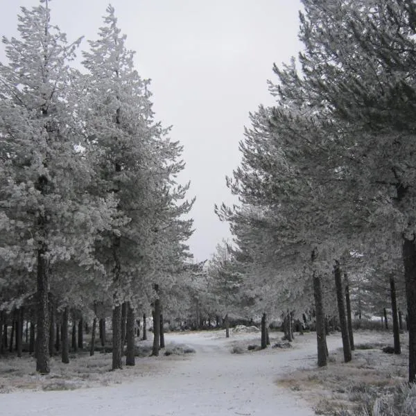 Residencial Mira-Sol, hotell sihtkohas Seia