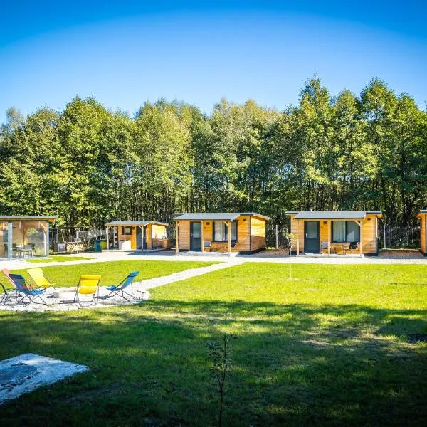 Tiny Houses Transfagarasan, hotel in Cîrţişoara