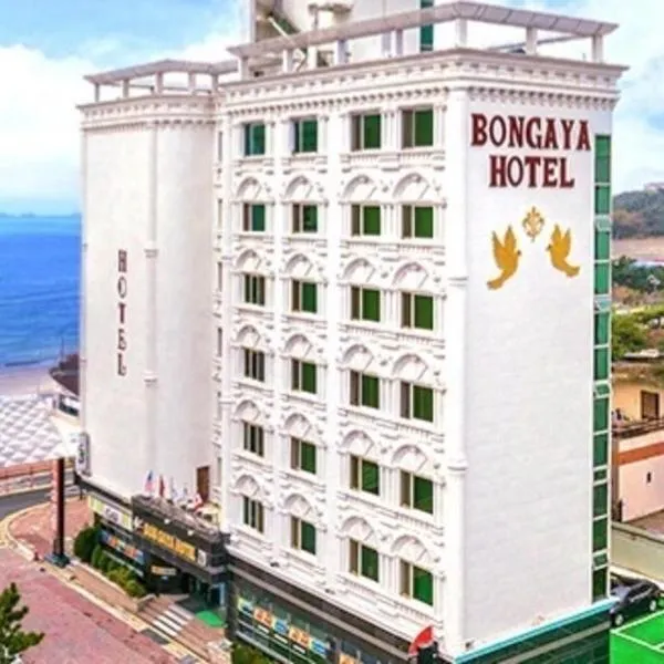 Boryeong BonGaya Hotel，位于保宁市的酒店