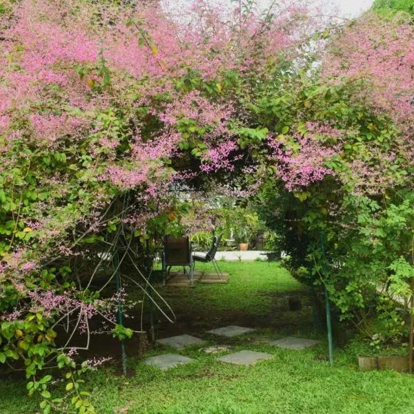 Mba में, होटल Marys Cottage