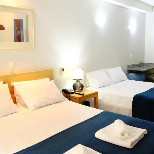 Flats em frente ao Allianz Parque - HOTEL EM PERDIZES, hotel em São Paulo