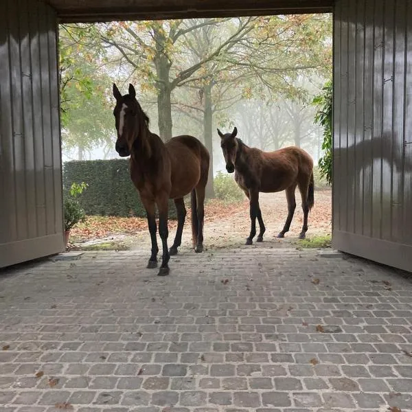 Imagine B&B, Hotel in Wortegem