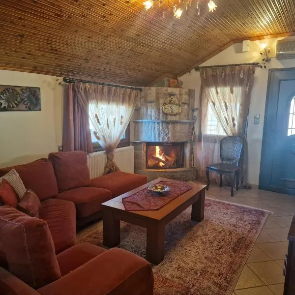Guest house Elatochori, hotel in Elatochori