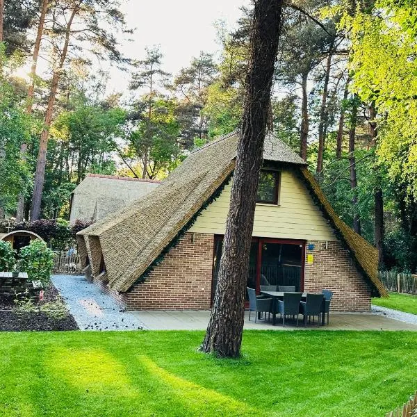 Vakantiewoning Waag, hotel in Rekem