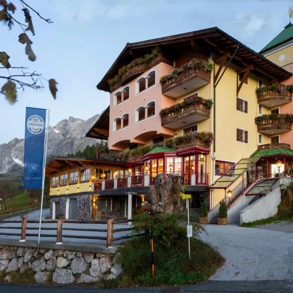 Sonnhof am Hochkönig, ξενοδοχείο σε Muhlbach am Hochkonig