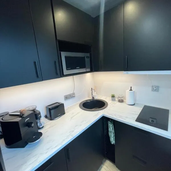 Puiestee apartment, hotel in Valga