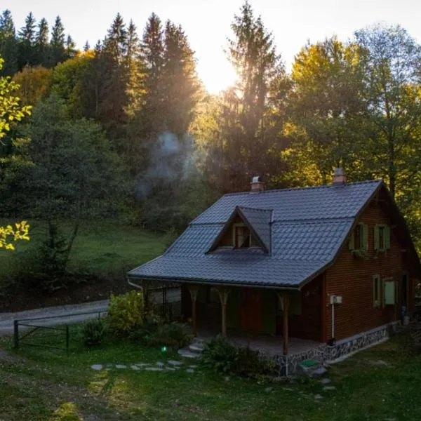 ZSUZSI-LAK, Hotel in Sub Cetate
