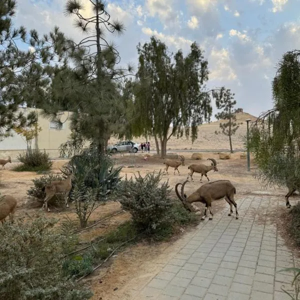 הבית המדברי, מלון במצפה רמון