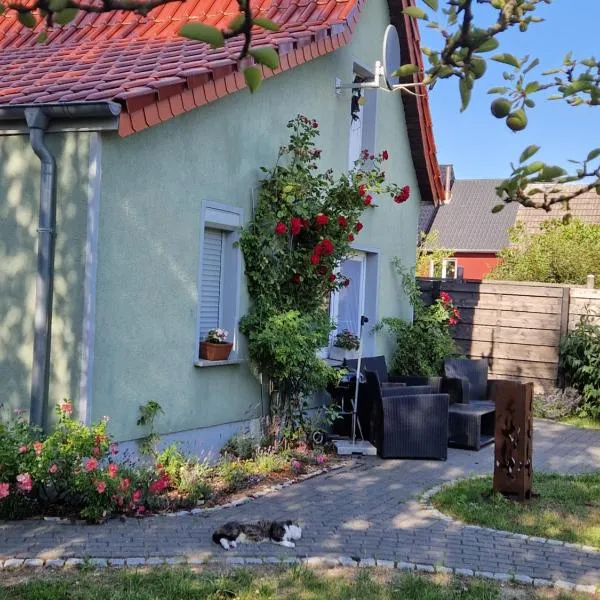 Marin, hotel i Barth