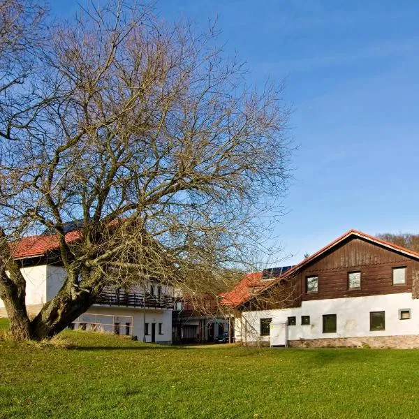 Penzion Hradek, Hotel in Nový Hrádek