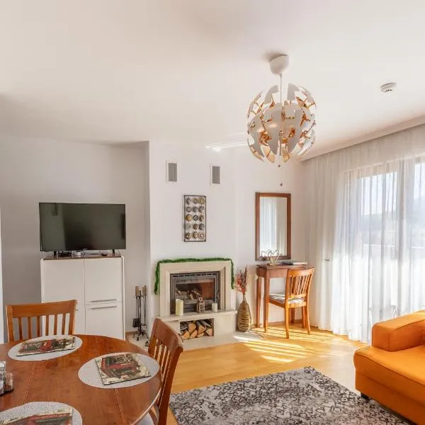 One Bedroom Apartment Pirin Lodge、バンスコのホテル