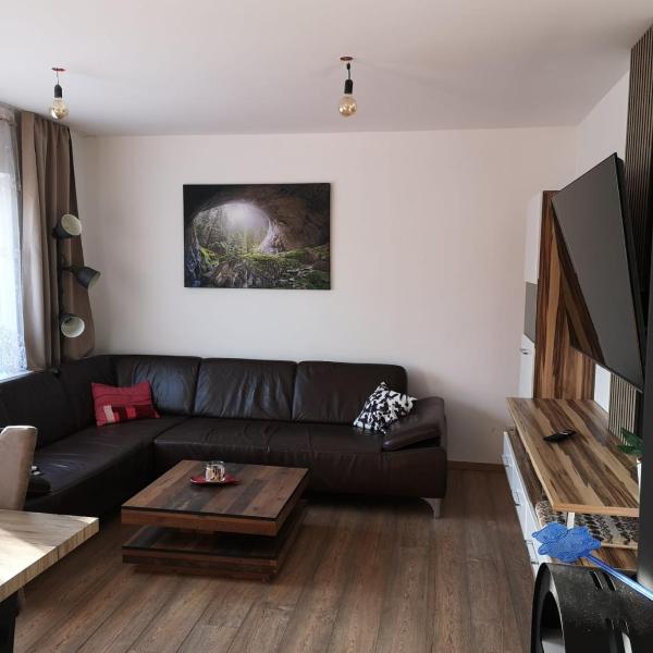 Workers Home, Viena