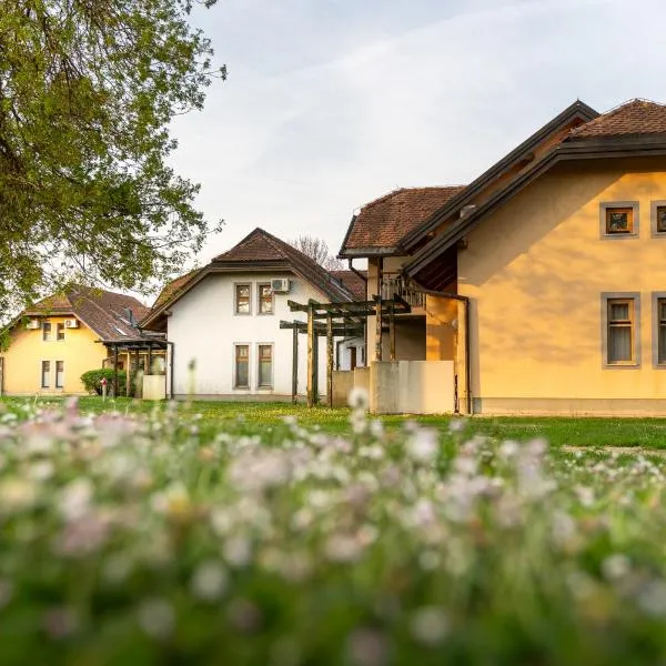 Terme Banovci - Hotelsko naselje Zeleni gaj，位于巴诺夫茨的酒店