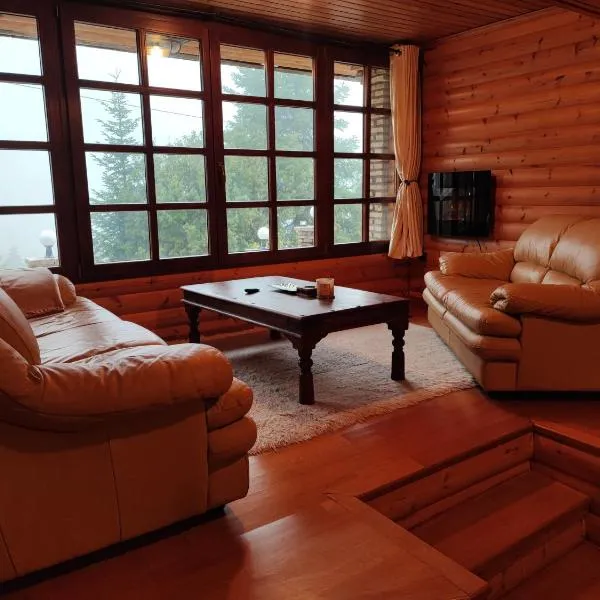 ''Nest'' The Wooden Suite by Ski Alure, hôtel à Eptalofos