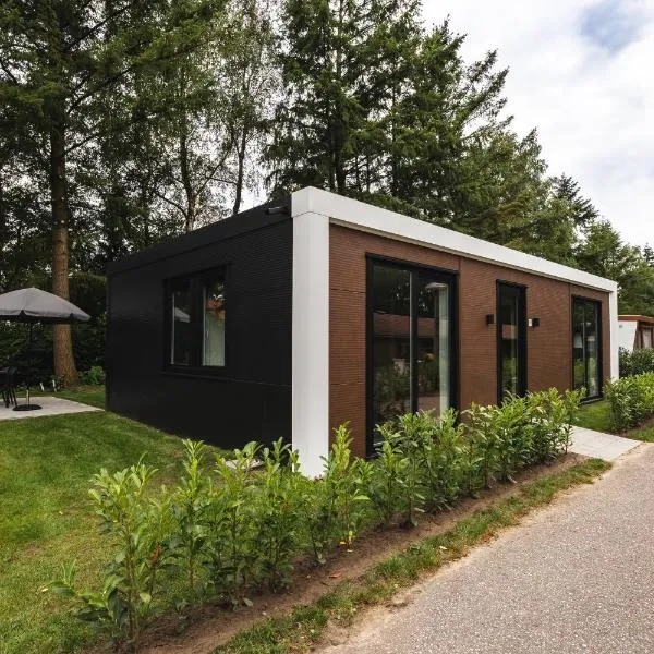 Tiny House 'De Dennenhut'、フォールトハイゼンのホテル