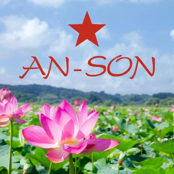 An-Son Apartamenty, Hotel in Zielona Góra