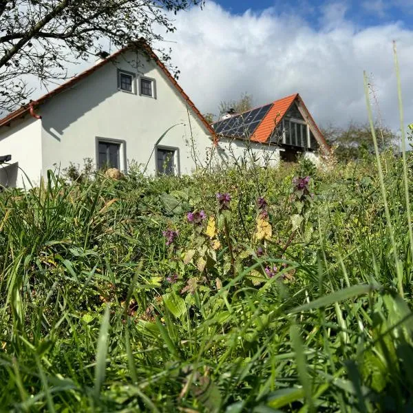 Chalupa Radouň, hôtel à Jindřichův Hradec