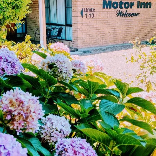 Muswellbrook Motor Inn, hotel in Muswellbrook