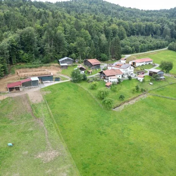 Ranzinger Hof, hôtel à Waldkirchen