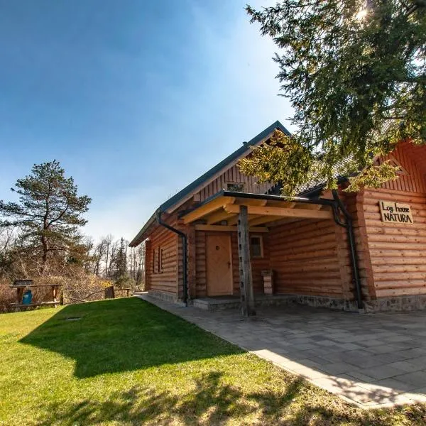 Log House Natura, hotel in Radovljica